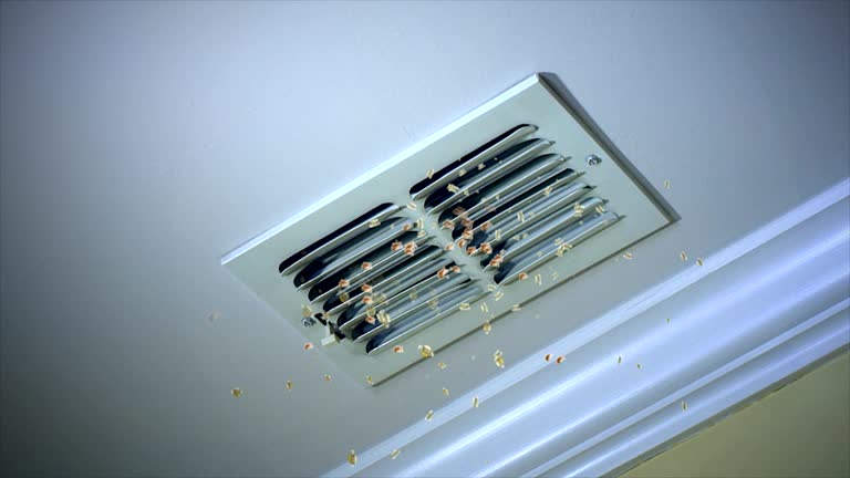Air Duct Mold Removal in Lake Goodwin, WA