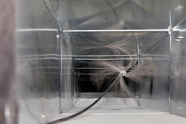Best Air Duct Mold Removal  in Lake Goodwin, WA